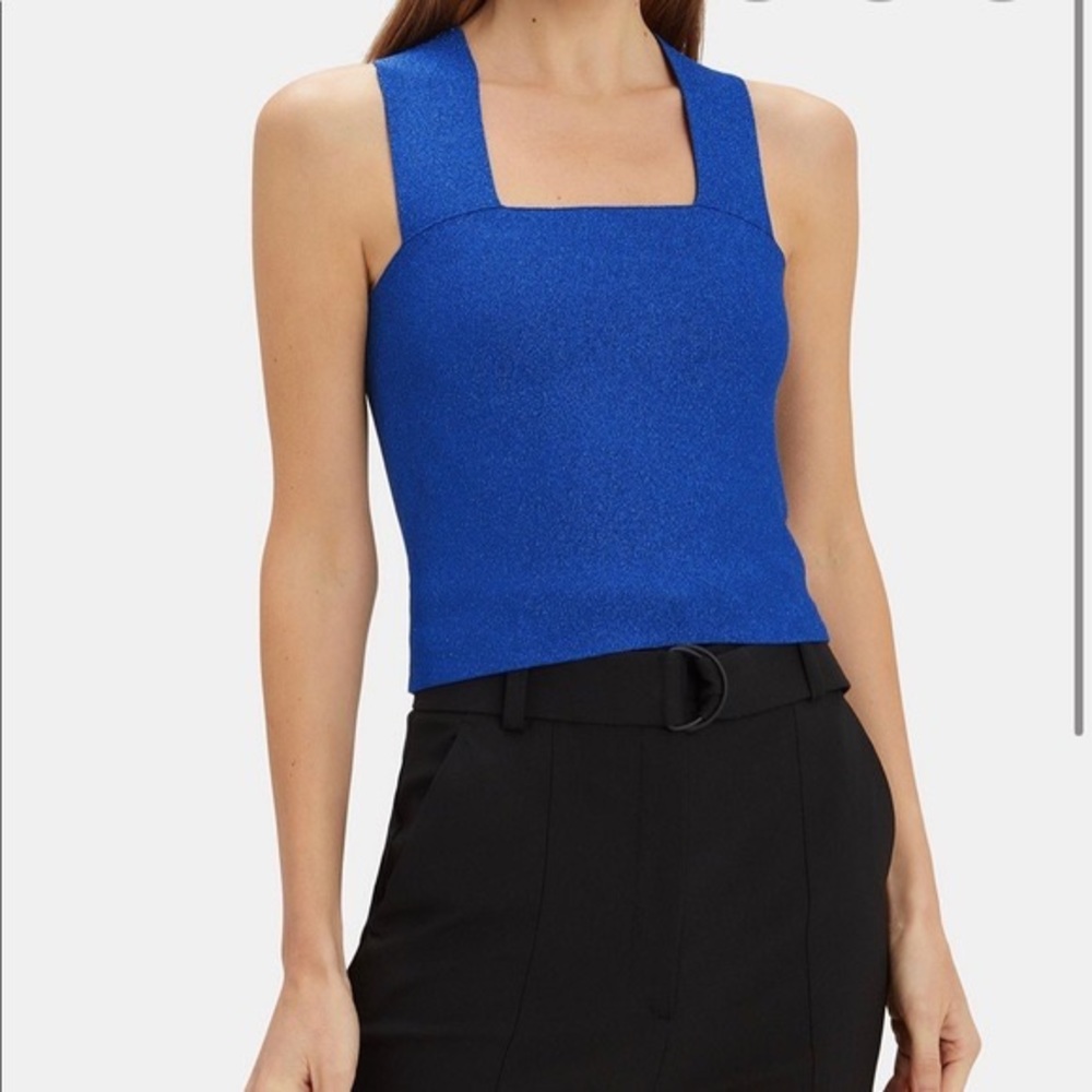 ALC Blue Sparkle Tank Top